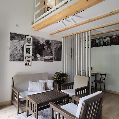 Zona Apartments 2 Zrenjanin Esterno foto